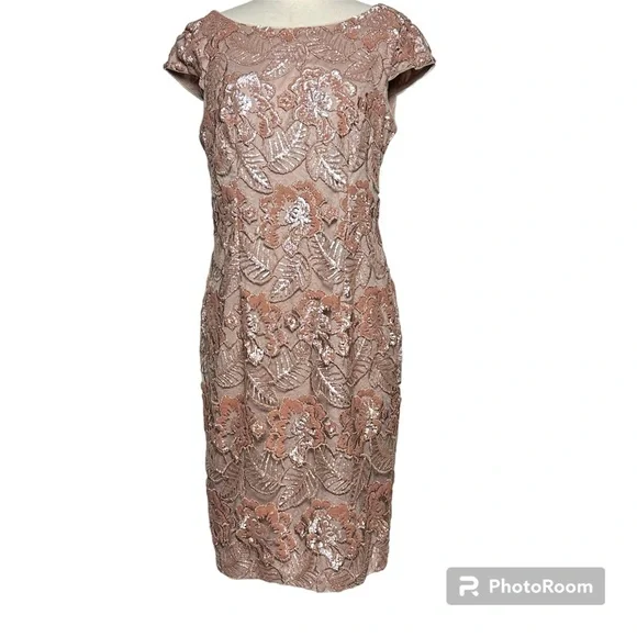 Alex Evenings | Dresses | Alex Cap Sleeve Embroidered Sequin Lace Evening  Dress In Rose Gold Size 2 | Poshmark